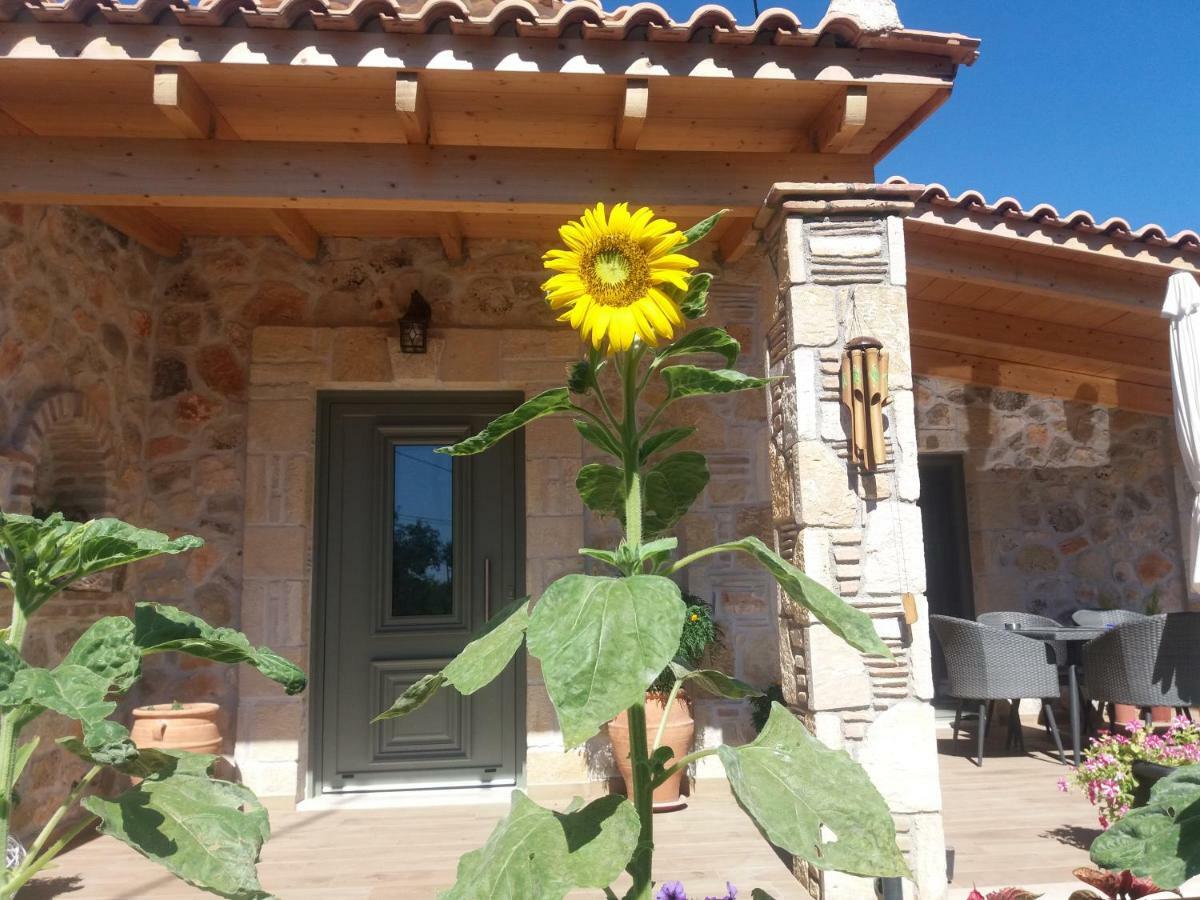 Villa Liberta Κερί Εξωτερικό φωτογραφία